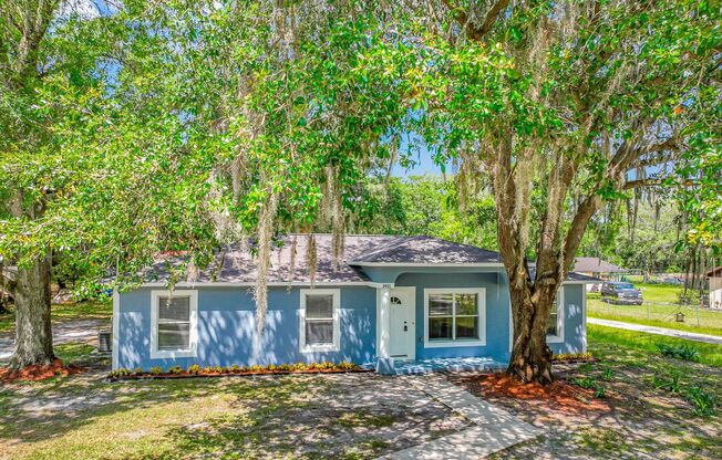 Available Now! - Beautiful 4 Bedroom Plant City House!