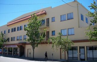 A Bright Sunny 1 bedroom, with Hardwood Floors