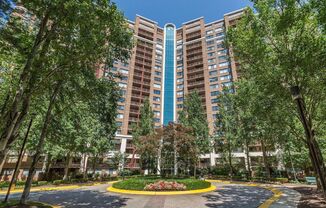 1 Bed 1 Bath - Rockville Condo - Completely Renovated