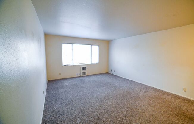 1 bed, 1 bath, 575 sqft, $895, Unit 203