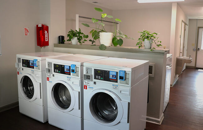 a laundry room with four washing machines and a counter with plants