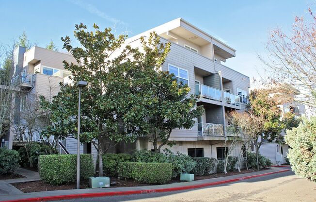 Contemporary Condo in Johns Landing