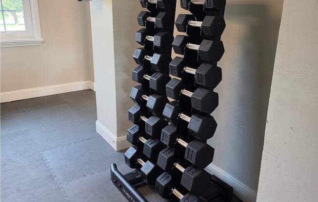 Free Weights at Candlewyck Apartments, Michigan