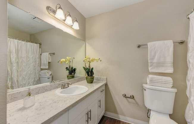 Bathroom with Toilet, Hardwood Inspired Floor, Vanity, and Sink