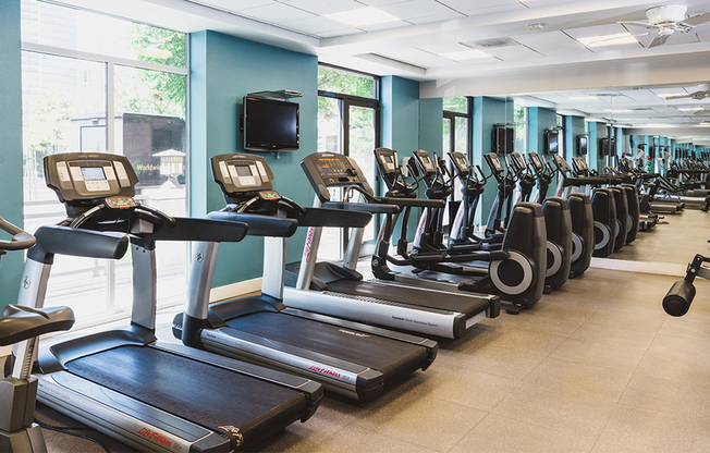 Treadmills and elliptical machines in gym