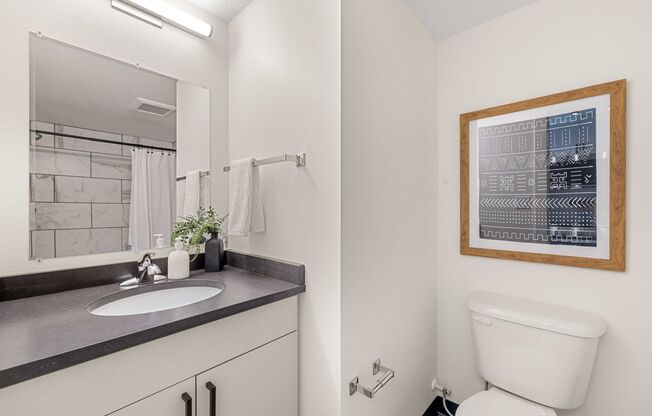 Studio, 1 bath, $625