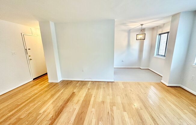Spacious One Bedroom Condo In the Heart of Dupont - 17th/New Hampshire.