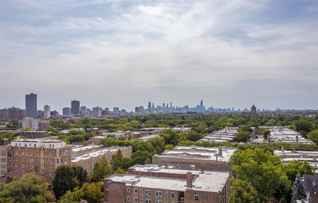 Studio, 1 bath, 212 sqft, $1,550, Unit 1203
