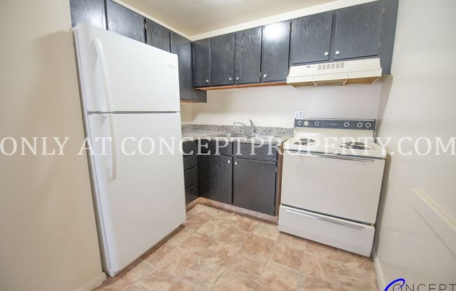 Studio, 1 bath, 360 sqft, $699, Unit 234