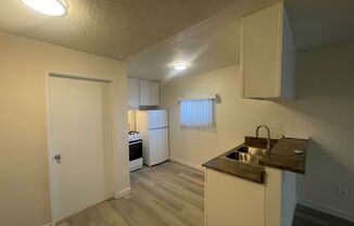 Studio, 1 bath, $1,295, Unit 106