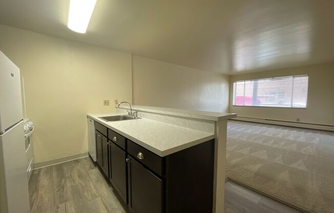 1 bed, 1 bath, 600 sqft, $1,050, Unit 211