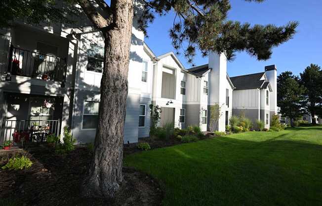 A tree stands in front of a white building with a black roof.