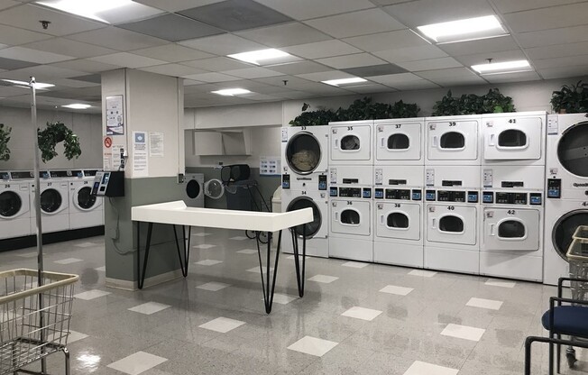 Studio, 1 bath, 636 sqft, $2,750, Unit 8P
