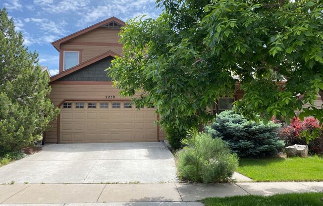 Large 6 Bedroom 4 Bath Home in Northeast Fort Collins