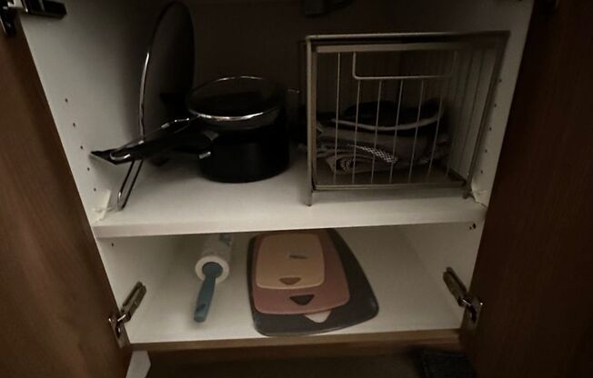 Studio, 1 bath, 244 sqft, $1,495, Unit 113 - Furnished