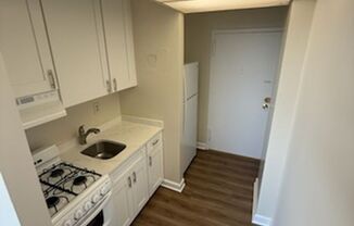 Updated Studio Apartment with AMAZING D.C. View