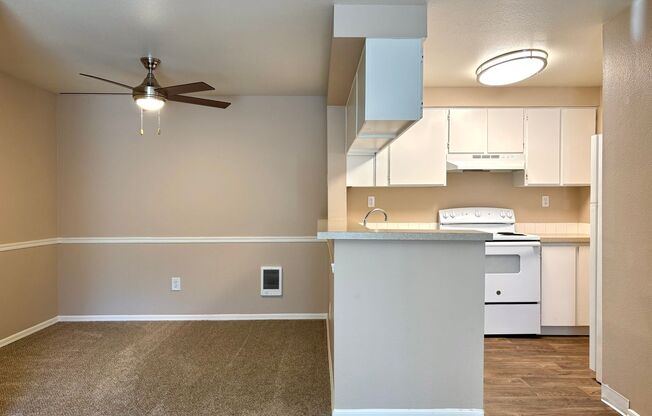 1 bed, 1 bath, 747 sqft, $1,375, Unit 315