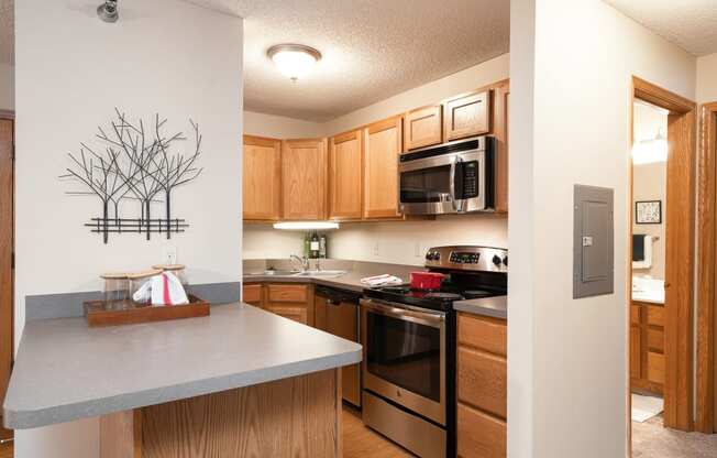 Kitchen with light brown panel wood cupboards and stainless steel appliances