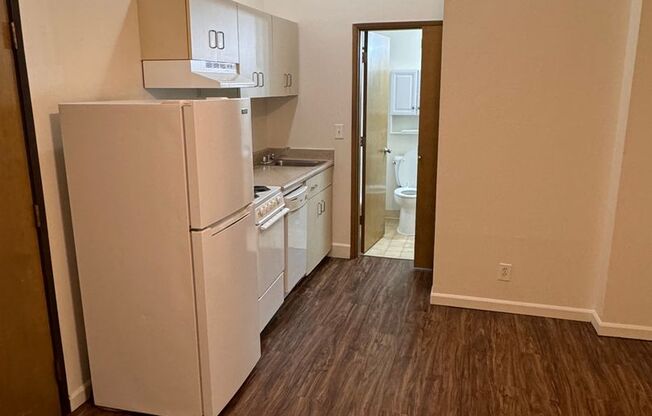 Studio, 1 bath, 250 sqft, $750, Unit 104