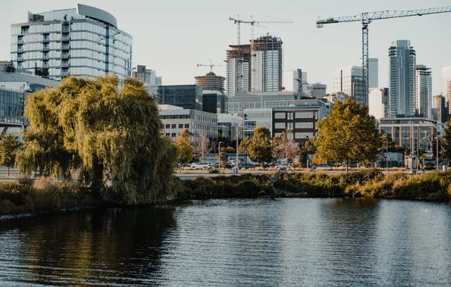 South Lake Union Views at Dexter Lake Union, Seattle, WA, 98109