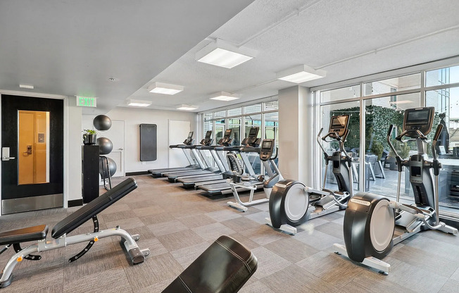 Elevate your fitness journey