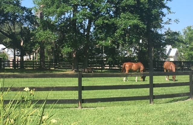 Horse property in St. Johns County