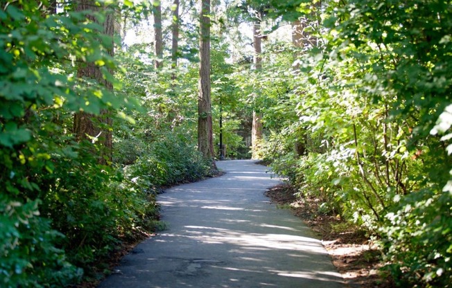 walkway with bushes and trees at Lionsgate South, Hillsboro, OR
