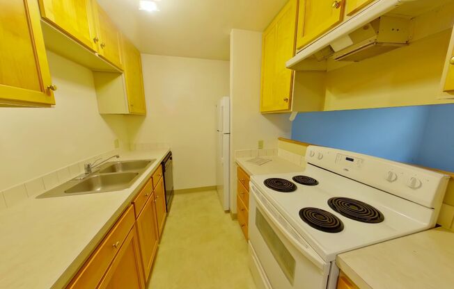 2 beds, 1 bath, $1,650, Unit 202