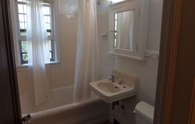 Studio, 1 bath, 396 sqft, $890, Unit 104