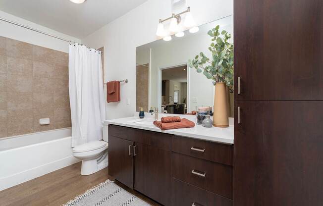 a bathroom with a sink and a toilet and a mirror
