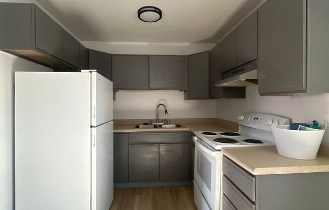 Studio, 1 bath, 417 sqft, $796, Unit 1001-11