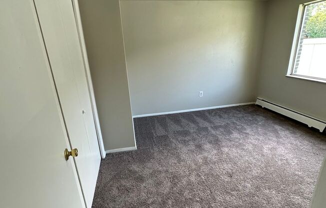 1 bed, 1 bath, $1,125