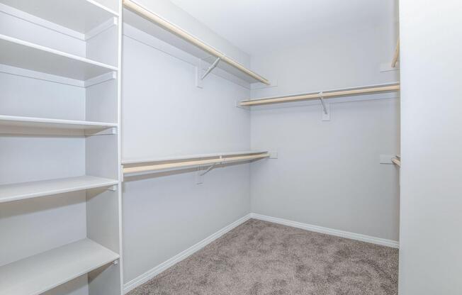 a close up of a shower