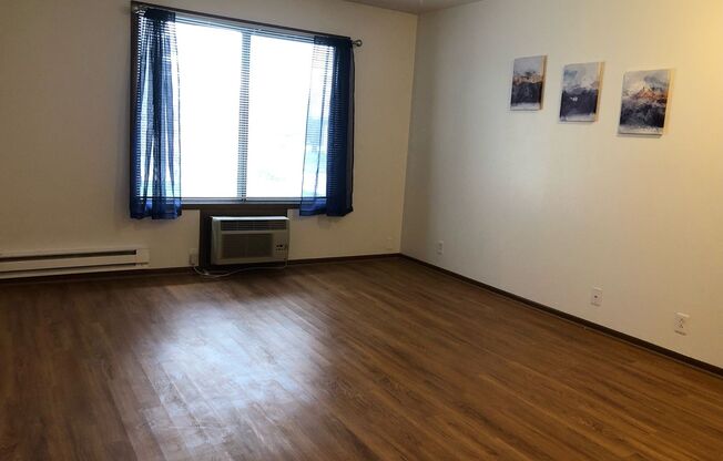 1 bed, 1 bath, 600 sqft, $725, Unit 207