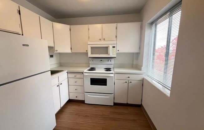 1 bed, 1 bath, 533 sqft, $1,350, Unit 603