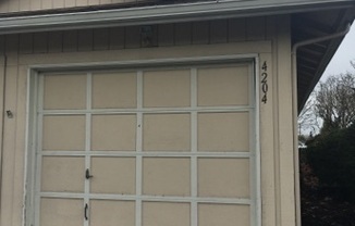427-4204-6 Evergreen