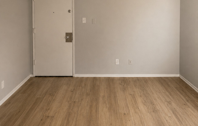 Studio, 1 bath, 450 sqft, $1,595, Unit 313