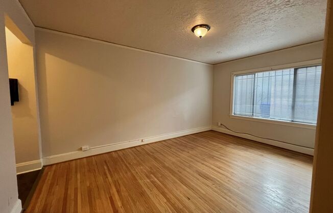 Studio, 1 bath, 330 sqft, $925, Unit A