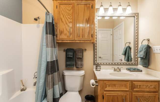 A bathroom with a white toilet, a white sink, a wooden cabinet, and a mirror.