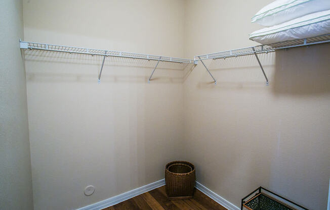 Large Walk-In Closets at Superstition Springs Apartments Arizona