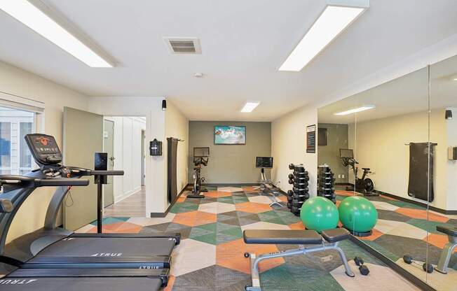 A gym with a treadmill, weights, and exercise balls.