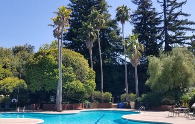 Spacious 1-bed 1-bath condo now available at Shelter Creek