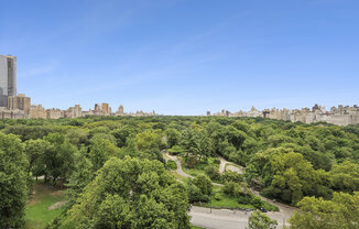 116 CENTRAL PARK S