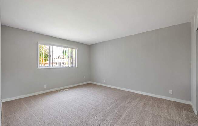 A room with a carpeted floor and a window.