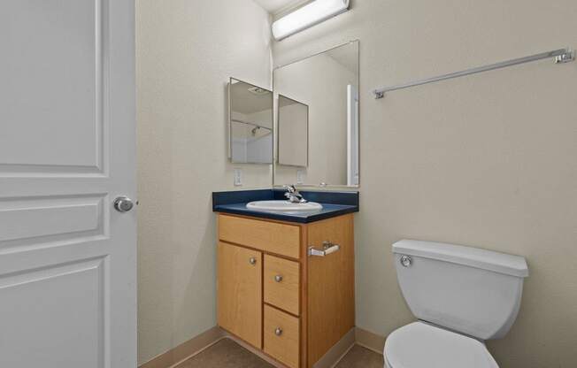 a bathroom with a toilet and a sink and a mirror