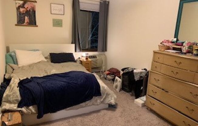 1 bed, 1 bath, 504 sqft, $989, Unit 210