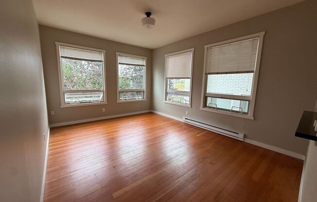 1 bed, 1 bath, 600 sqft, $1,495, Unit 313