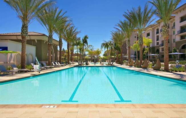 Olympic Size Swimming Pool