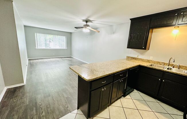 Fabulous landmark Downtown Austin property! Great downtown neighborhood!