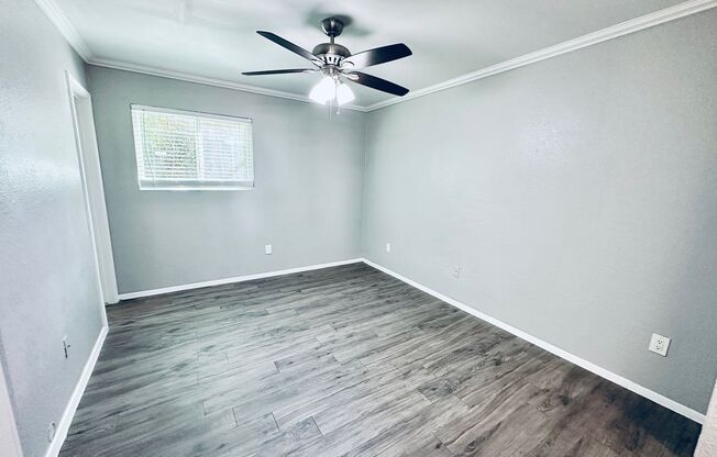 Studio, 1 bath, 500 sqft, $795, Unit 118